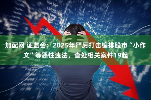 加配网 证监会：2025年严厉打击编排股市“小作文”等恶性违法，查处相关案件19起