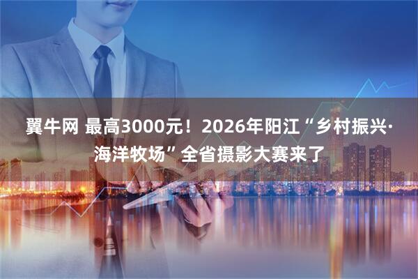 翼牛网 最高3000元！2026年阳江“乡村振兴·海洋牧场”全省摄影大赛来了
