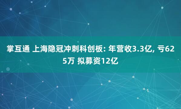掌互通 上海隐冠冲刺科创板: 年营收3.3亿, 亏625万 拟募资12亿